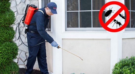 Erbaa Hamam Böceği İlaçlama böcek ilaçlama ve haşere kontrolü — ilaclama-tr.com
